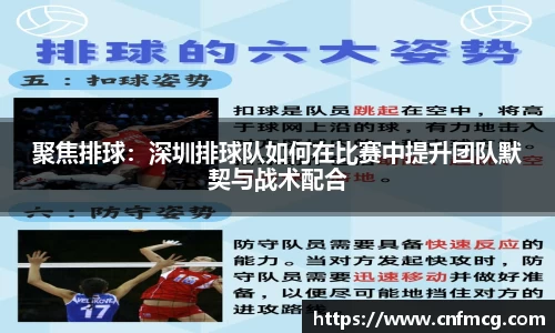 聚焦排球：深圳排球队如何在比赛中提升团队默契与战术配合
