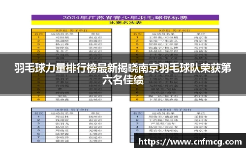 羽毛球力量排行榜最新揭晓南京羽毛球队荣获第六名佳绩