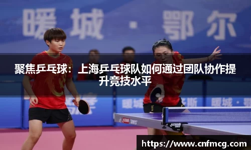 聚焦乒乓球：上海乒乓球队如何通过团队协作提升竞技水平