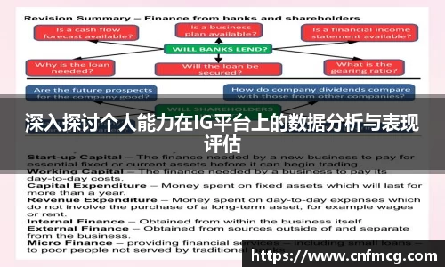 深入探讨个人能力在IG平台上的数据分析与表现评估