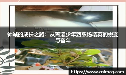 钟诚的成长之路：从青涩少年到职场精英的蜕变与奋斗